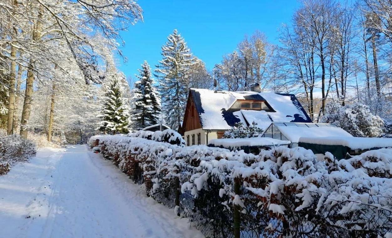 Ferienhaus Jaegerhaus Oppach Privathaus Eksteriør billede